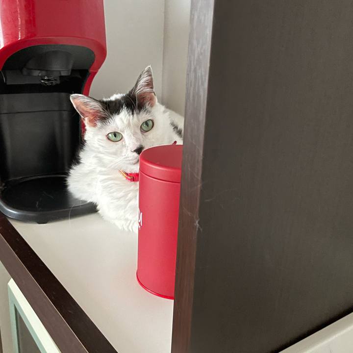 3f17c286 6620 4343 b3d9 93a76f9ed994 1623717135719