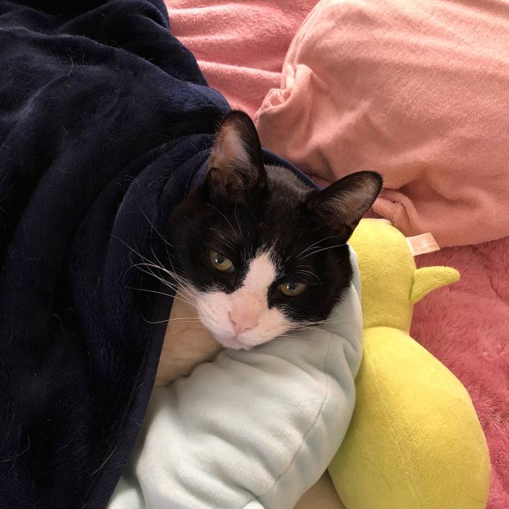 3f17cc8d 669f 497c 9932 84f3f905d198 1548976337181