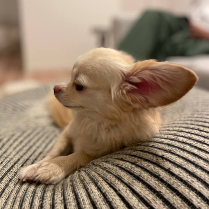 3f17e263 1cd8 41fd 91db 2f3c7653895d 1698038946667