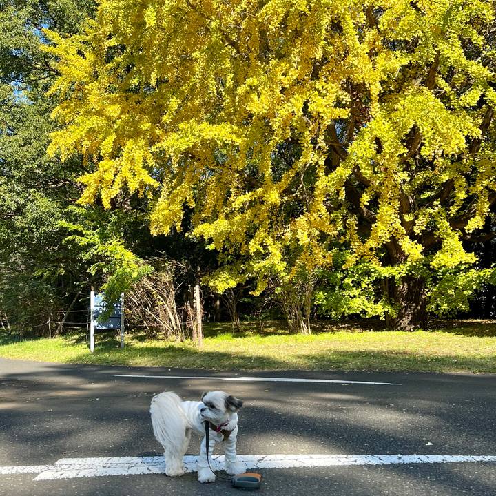 3f17ed61 1058 42ee 93ec 88840c234ddf 1637479552552