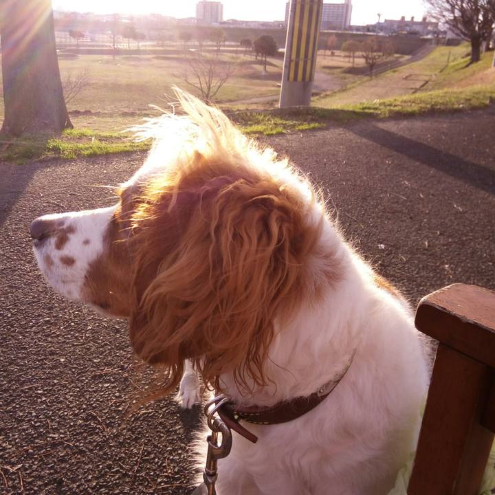 3f180239 6759 43ab 8237 df296c57ac9e 1516014455282