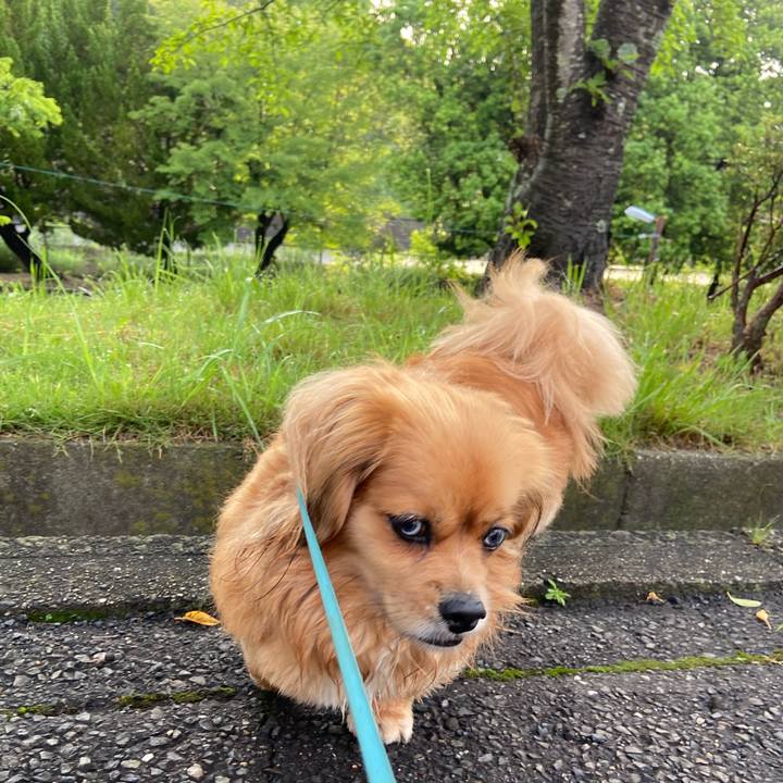 3f1854d8 c504 4d64 853e fa18f2369d9a 1592168746658