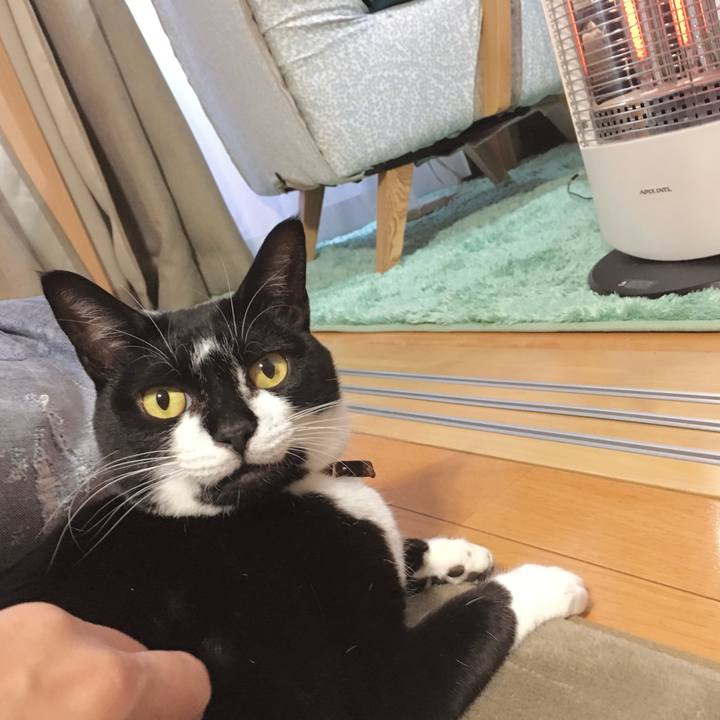 3f1869e4 25a2 4d03 9035 d0e4aba0fdfc 1759642068762