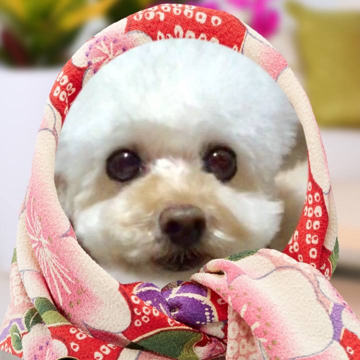 3f18acdb 8394 4a84 83a9 bdf1fa131f06 1509178205429