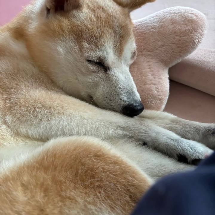 3f18b67a 9716 498e 9432 b5342246ee91 1741574555992