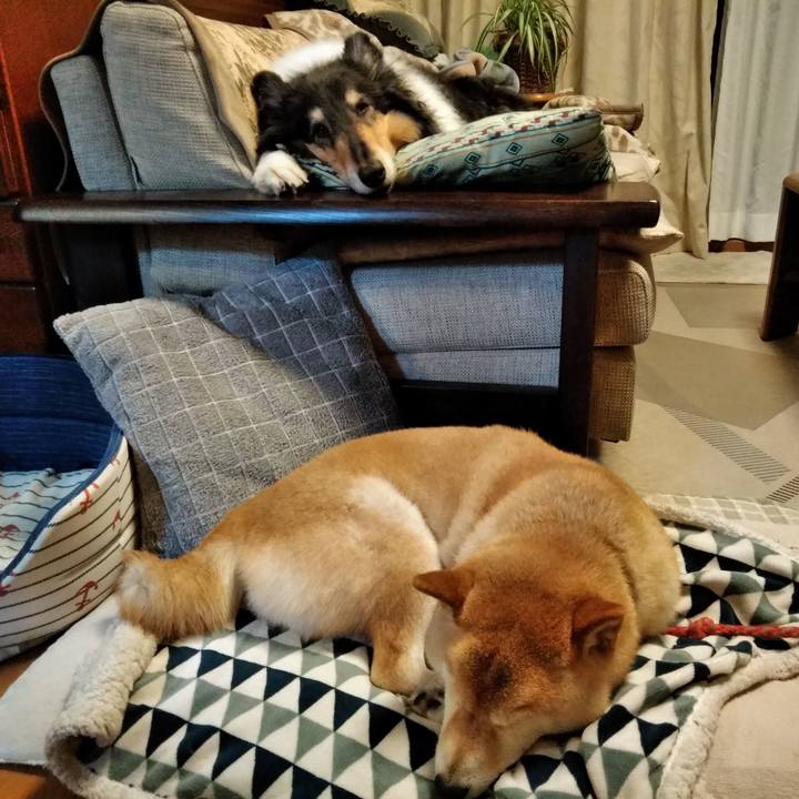 3f18ebaa 41e8 41af 9b16 352c8dfe4508 1553515621373