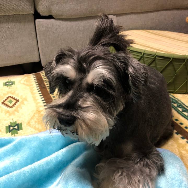 3f1918bc fd06 46fe 9499 4caf525c1dcf 1638609962429