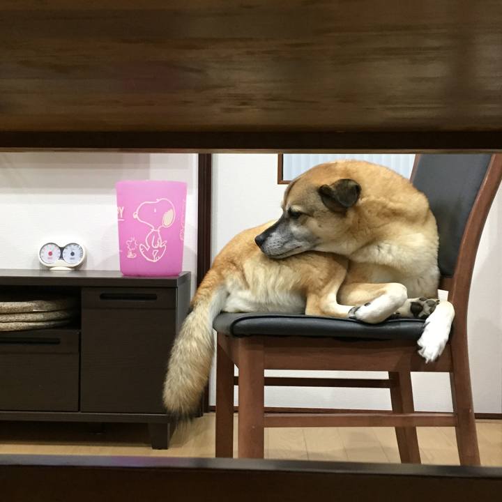 3f191d36 1f60 4966 b58e 62916a337596 1543490570131