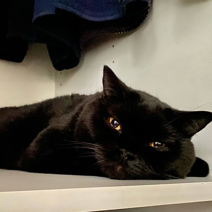 3f19289d b65f 419a 8a94 e033549d5008 1693917193909