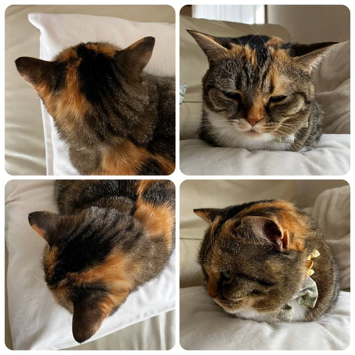 3f193250 f309 4d6d b515 c476ee6cf434 1776050304254