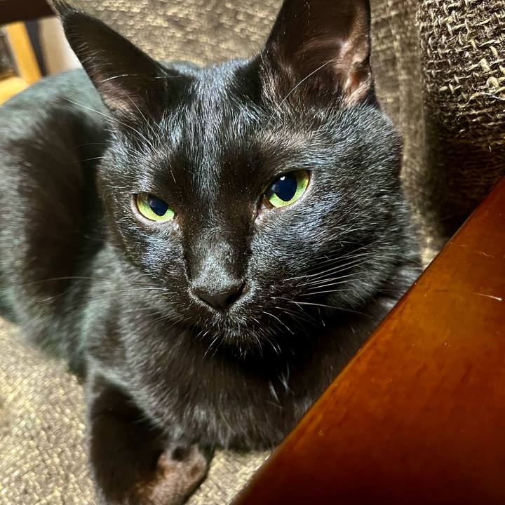 3f199959 379b 434e ac55 56929ac0368f 1711803531358