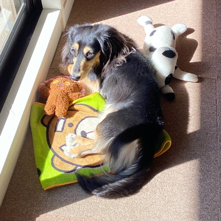 3f19bbba ec94 4f2d 9a9c e83370015ad7 1708910366817