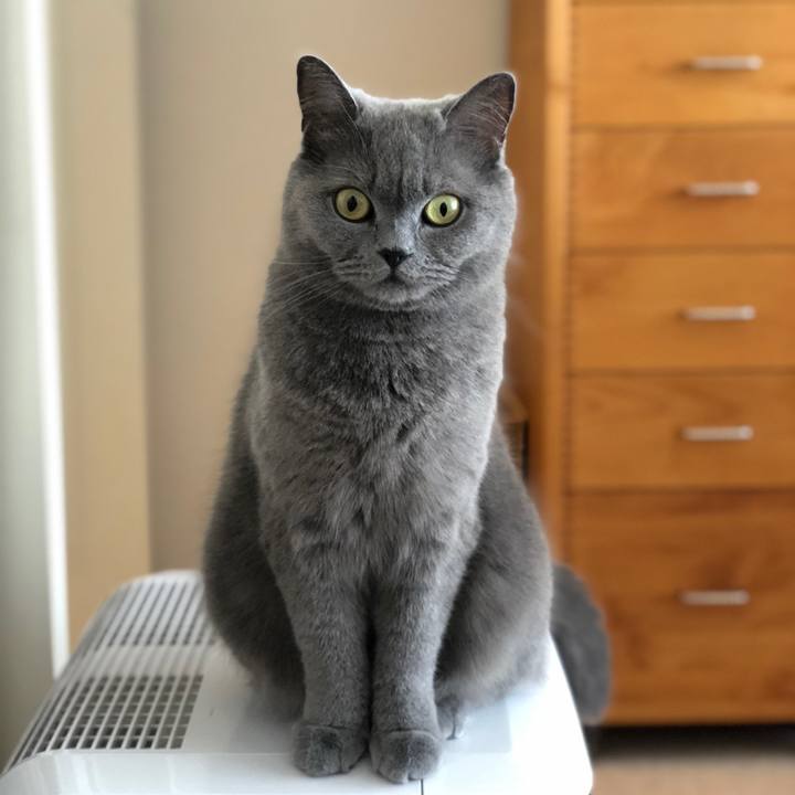 3f19d21d bf15 4aee baf2 f4b4d099556e 1526949464036