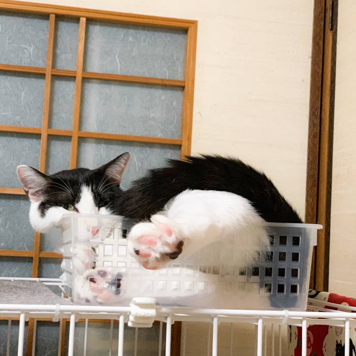 3f1a11da 385d 4a79 a2aa a9efd9fd8691 1570411082054