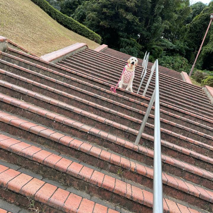 3f1a2a43 3681 4524 ba4b 9801983ef005 1635142201586