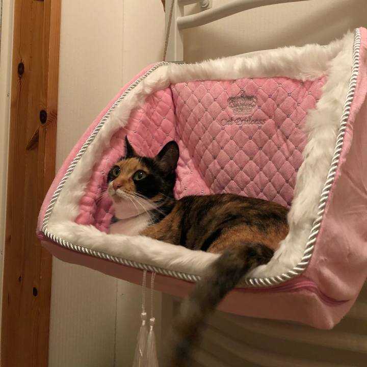 3f1a662d 2d5a 47e4 950e 51471a150ada 1535623034584