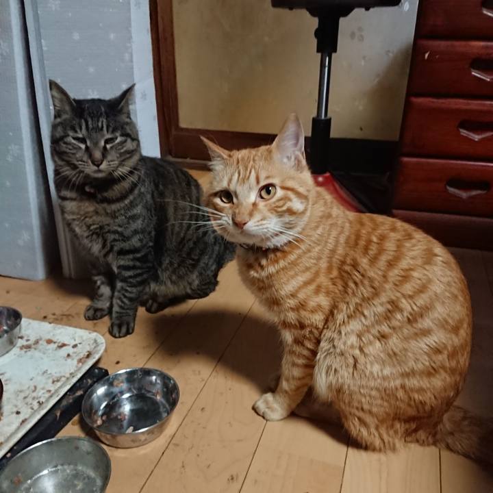 3f1a969f 754f 41b9 b795 d850927dad3b 1648110239350