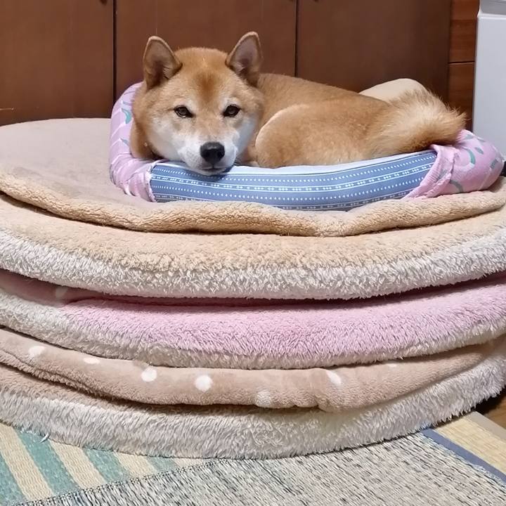 3f1ad2f9 2bde 482f 89c1 cf932b91d0e0 1600703723905