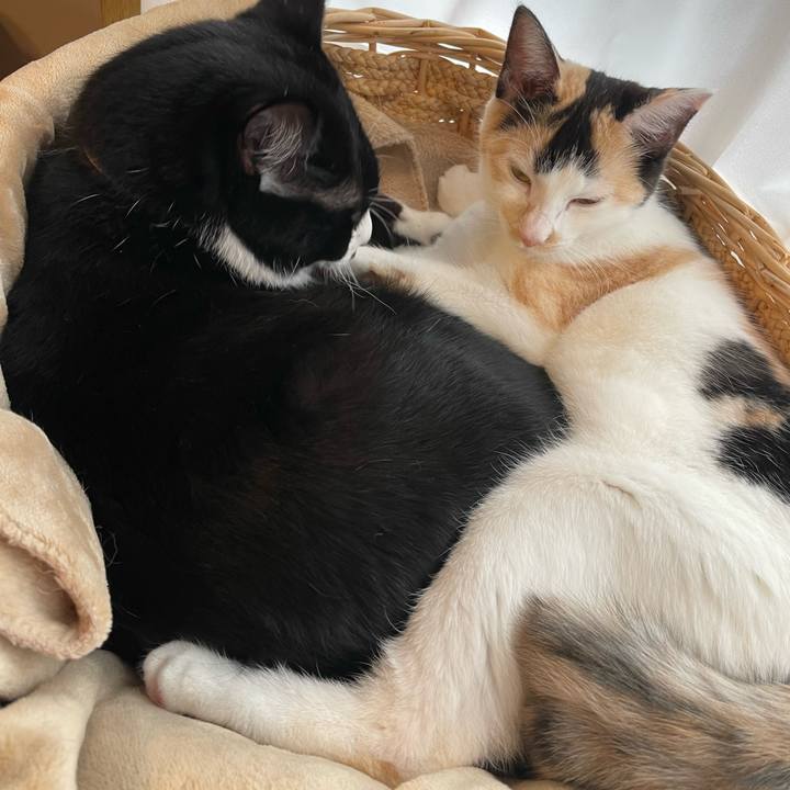 3f1b2141 48b1 4a2b a004 b6cd42342b63 1669852454568