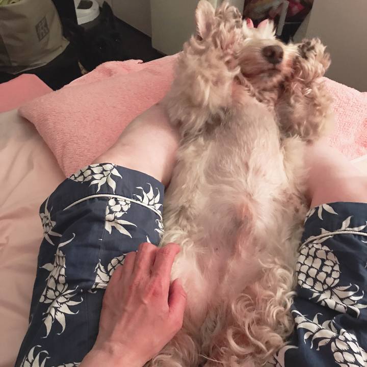 3f1b33a6 ec81 427e bd24 836edeca7e85 1558737791388