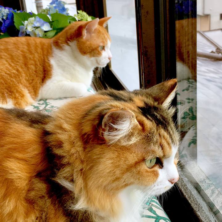 3f1b5344 eabc 4e16 929c 478f95141ce9 1562914065090