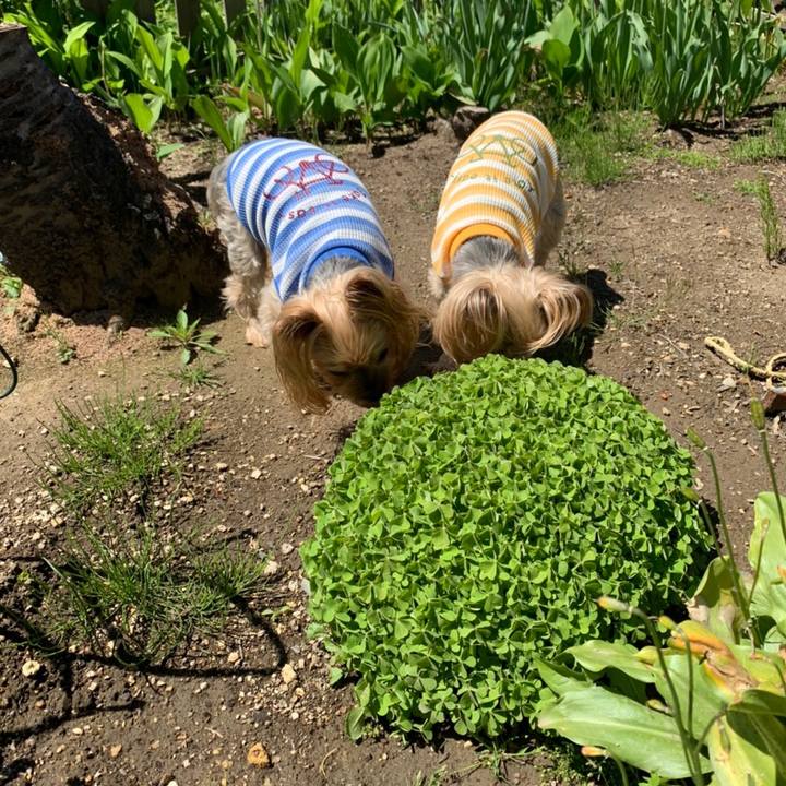 3f1b8802 930a 4e79 a868 31952d2258ec 1622628140875