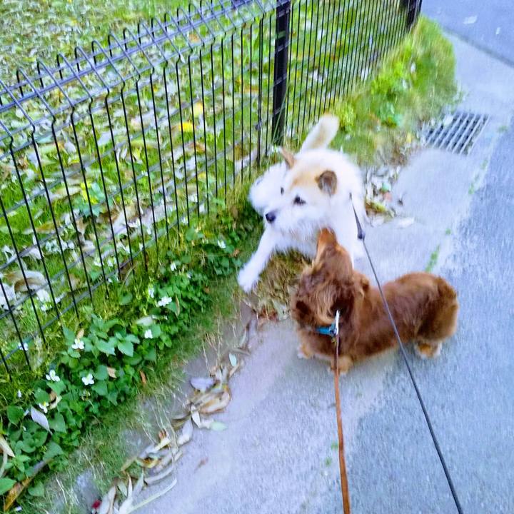 3f1b9c02 0fc5 4e0a a6be f0965ccb66b8 1559132517109