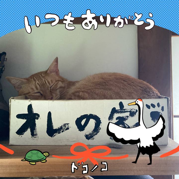 3f1bd076 d8c9 4b24 a31e 2468dd98c8b8 1726962824468