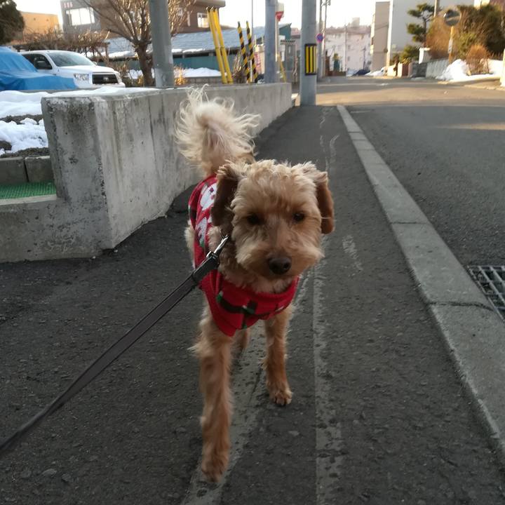 3f1bf105 018e 4a63 91e0 7054fc0a4162 1552862950890