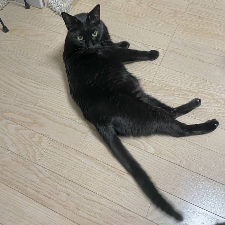 3f1c02cd a7fa 4f27 8471 3930832c4baf 1646574606726