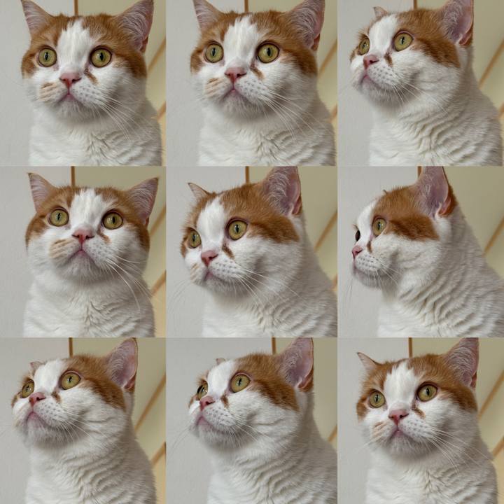3f1c0918 6258 4dc6 97ea 50e82edef51c 1717298550508