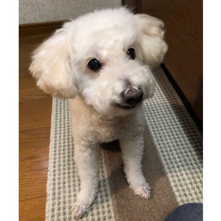 3f1c2e03 3f79 4fe1 b481 f80719effbdd 1544709463012