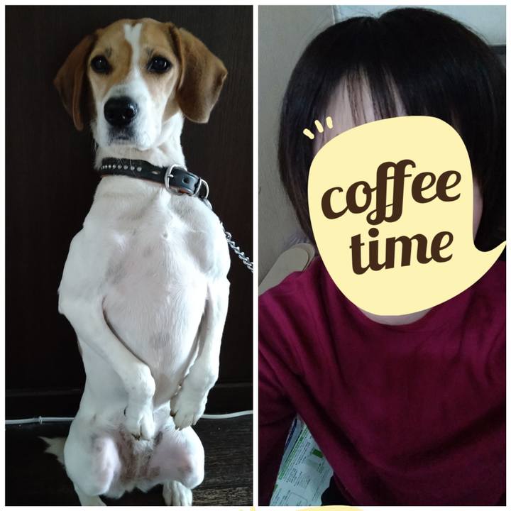 3f1c7654 f4c4 4fc2 8daf b6a90ab296f9 1636202545440