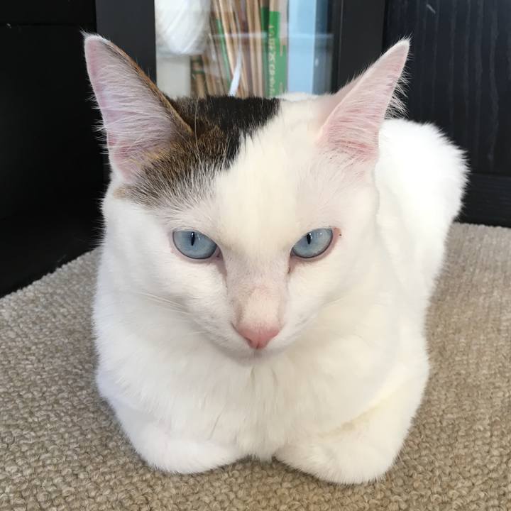 3f1ca982 e05f 4a9c 9678 5c63f4e54277 1524569046933