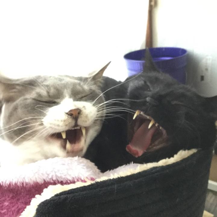 3f1cf357 703e 4d91 a892 1bd1bb2a776f 1554879455879