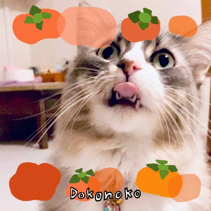 3f1d050a b567 4014 882e 20494d7f9a3c 1762873912797