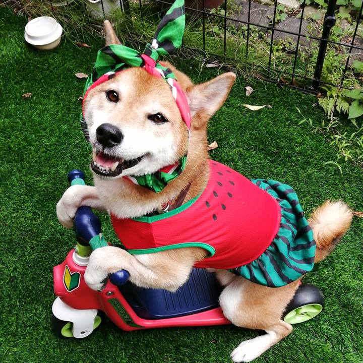 3f1d1115 90d4 499d 8d75 bb3fe985ac58 1661764246167