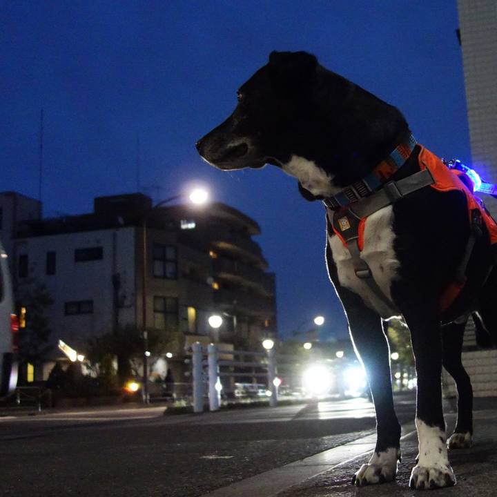 3f1d1707 682d 4654 8949 546d41a78955 1745318364399