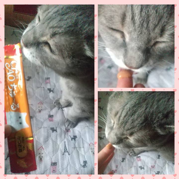 3f1d3632 4592 44bf 8ea0 7389ab1ef660 1666391639009