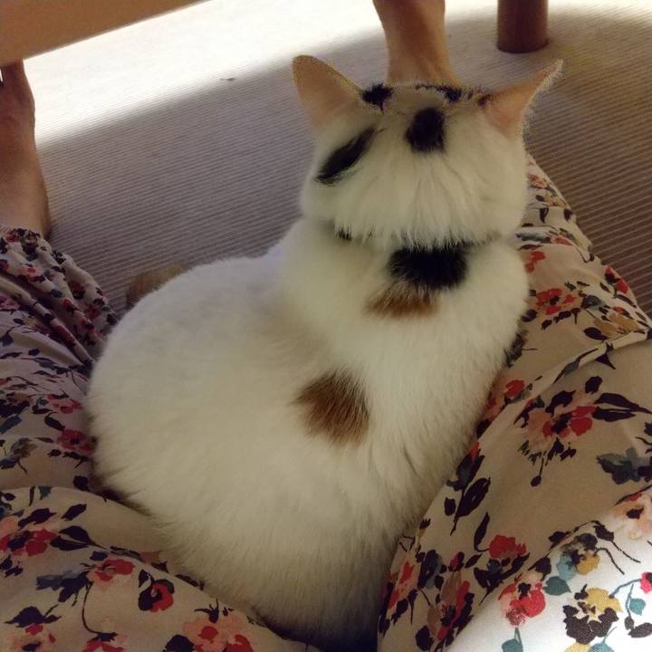 3f1d441d 1e11 42c3 a81d 84619a03d15d 1600258765782