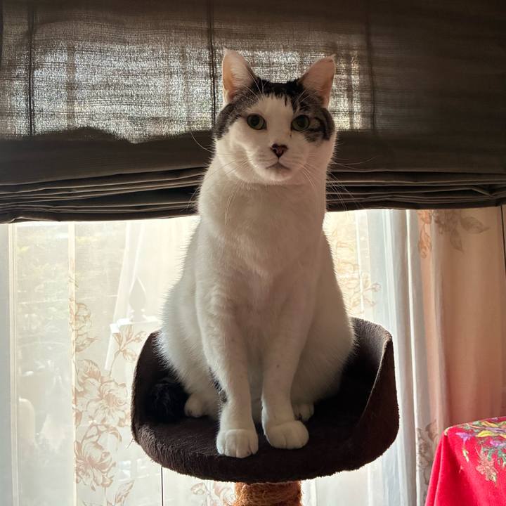 3f1d4d06 9e4e 40a0 be6a e094fc73f3c2 1767653321330