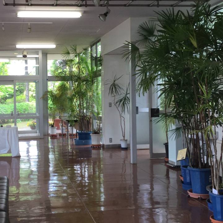 3f1d5b57 495b 49a7 9093 032f38c3414e 1557901066271