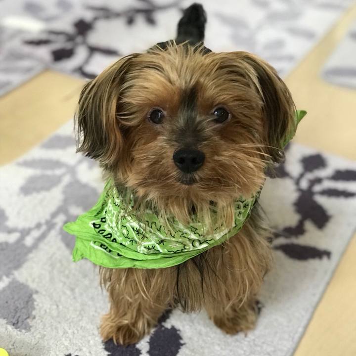 3f1d71ad 5669 4c6e 8dd5 382af08efc04 1526891249772