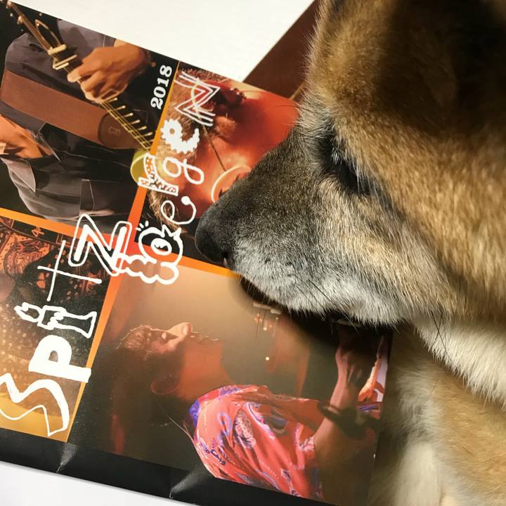 3f1d7996 ddb5 41fe b758 97a51fe29666 1544182517984