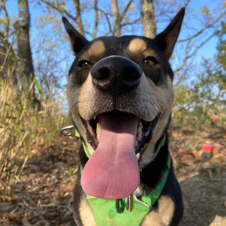 3f1d804b 3548 4808 ac20 af134fdc092f 1586564523300