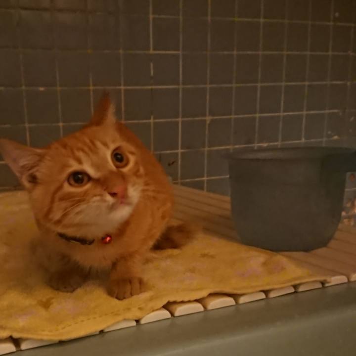 3f1d869b c87f 4ba4 838c edd5cafae1a1 1634204012116