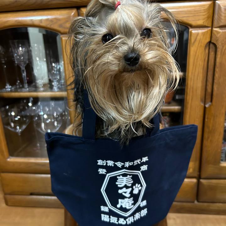 3f1d92cf f51d 40e1 a81e ed35af61d658 1699692597749