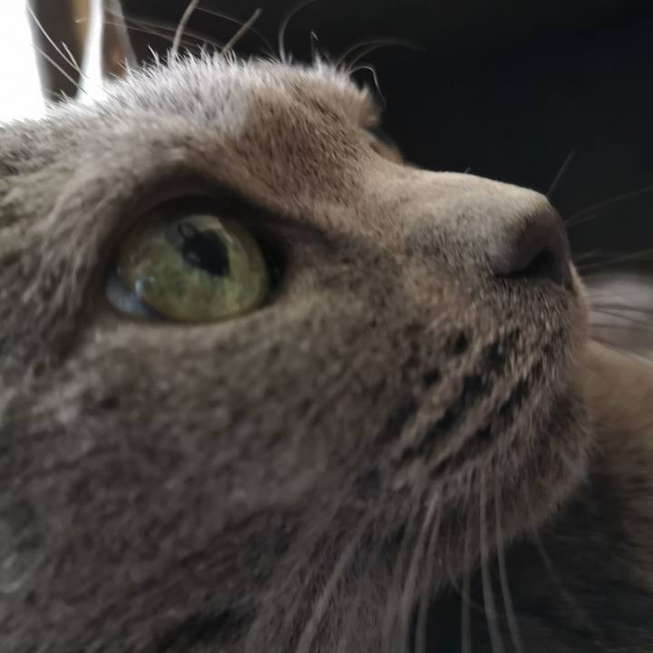 3f1da031 ce63 4558 bf5a 820dd6087971 1586563864074