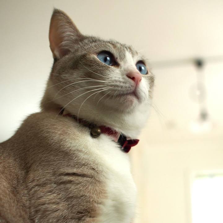 3f1db83e b3de 4921 bc96 66a3df7c0ceb 1553831291566