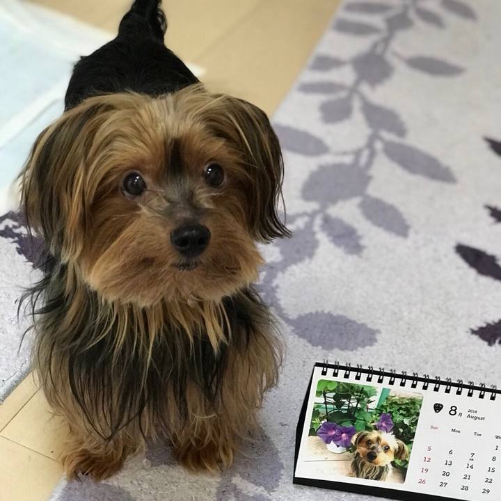 3f1de40c 539f 453a ac1b 4bff1dbce2d1 1533085000138